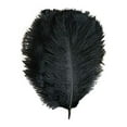 Efavormart 12 Pack | 13"-15" Black Natural Plume Real Ostrich Feathers ...