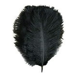 Efavormart 12 Pack | 13"-15" Black Natural Plume Real Ostrich Feathers ...