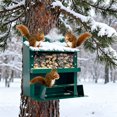 thumbnail image 7 of Product Category Automatic Feeders Squirrel Table Metal Feeder for Outdoor Nature Observation and Patio Use, 7 of 7