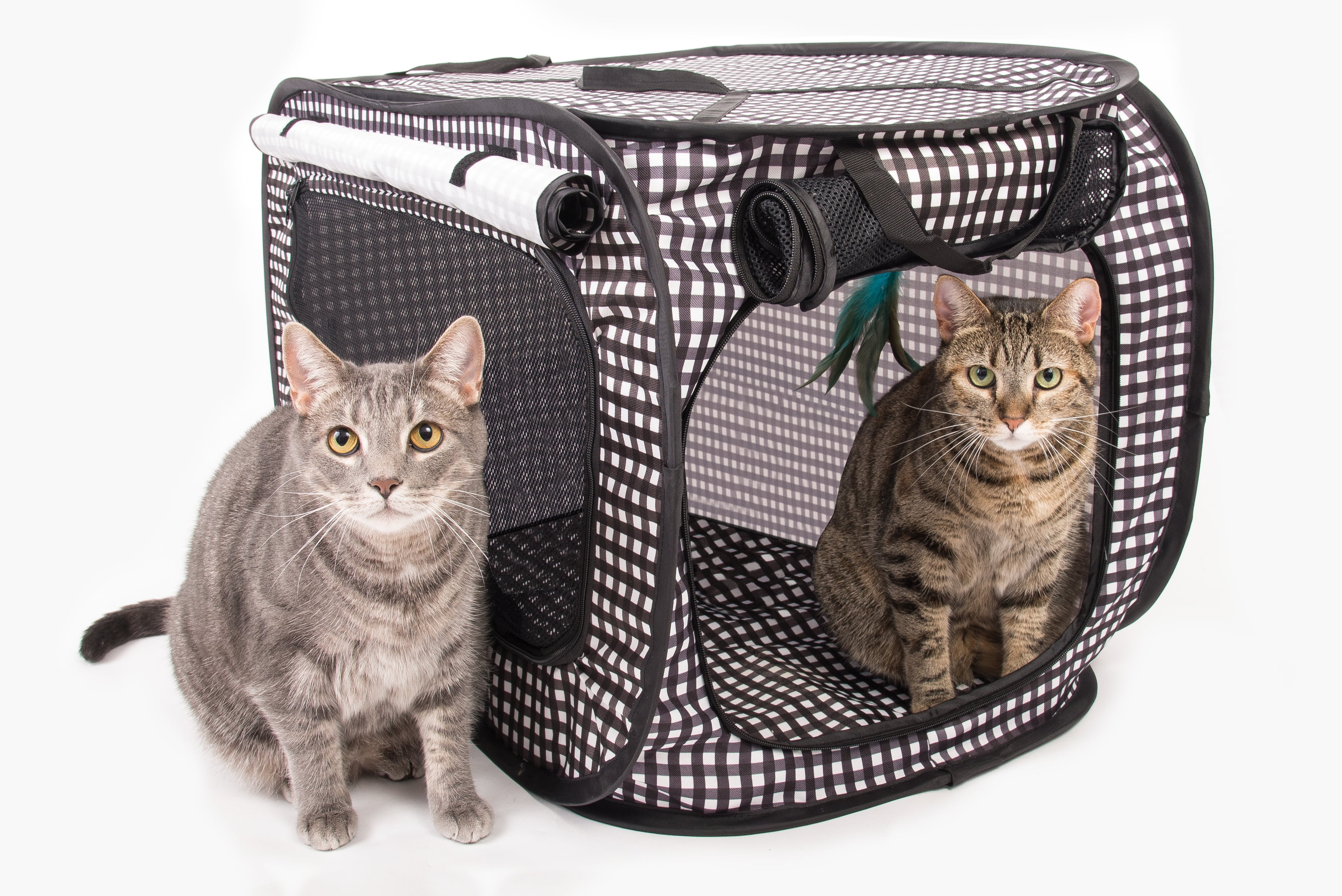 small pet travel cage