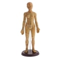 thumbnail image 1 of MagiDeal Acupuntura Humana y Moxibustión Modelo Femenino 48 cm 50 cm, 1 of 8