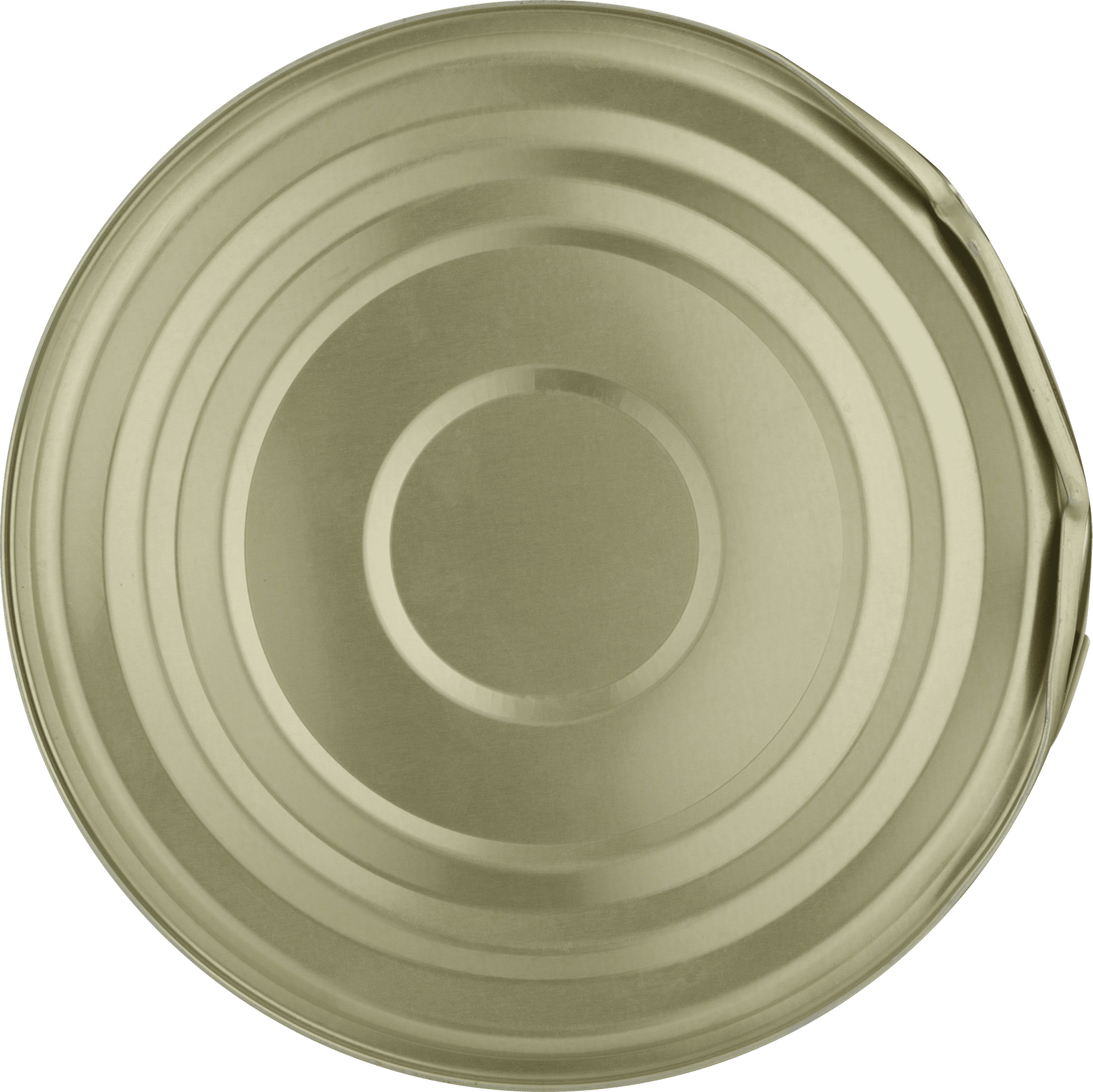 Roland Sliced Bamboo Shoots, 6.43 lbs