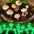 thumbnail image 1 of Decoración de jardín Taiyin con forma de hongos brillantes, 20 unidades, impermeables, de 2 a 4 cm, 1 of 6