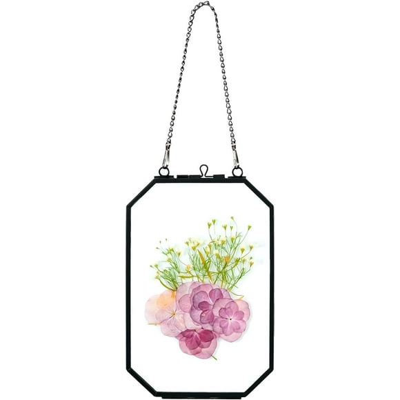 shiyou-4" x 6" Pressed Flower Frames, Glass Floating Frame with Chain for Artwork Photo, Picture, Pressed Dried Flowers, Plant Specimen, Vintage Wall Decor, Black, Handmade (Glass Frame Only)