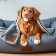 thumbnail image 1 of Juguete de pelota para perros Fernando con cuerda naranja, 1 of 8