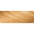 thumbnail image 2 of Creme of Nature Exotic Shine Color With Argan Oil, Ginger Blonde 10.01, 1 ea, 2 of 10