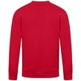 thumbnail image 3 of Men's Levelwear Red St. Louis Cardinals City Connect Zane No Hitter Pullover Sweatshirt, 3 of 3