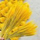 thumbnail image 2 of 100 flores artificiales, plantas artificiales, racimos de tallos de trigo seco, trigo real para suministros de corona, bricolaje, hogar, mesa, boda, decoración de Navidad (amarillo) oso de fresa  Juguete, 2 of 3
