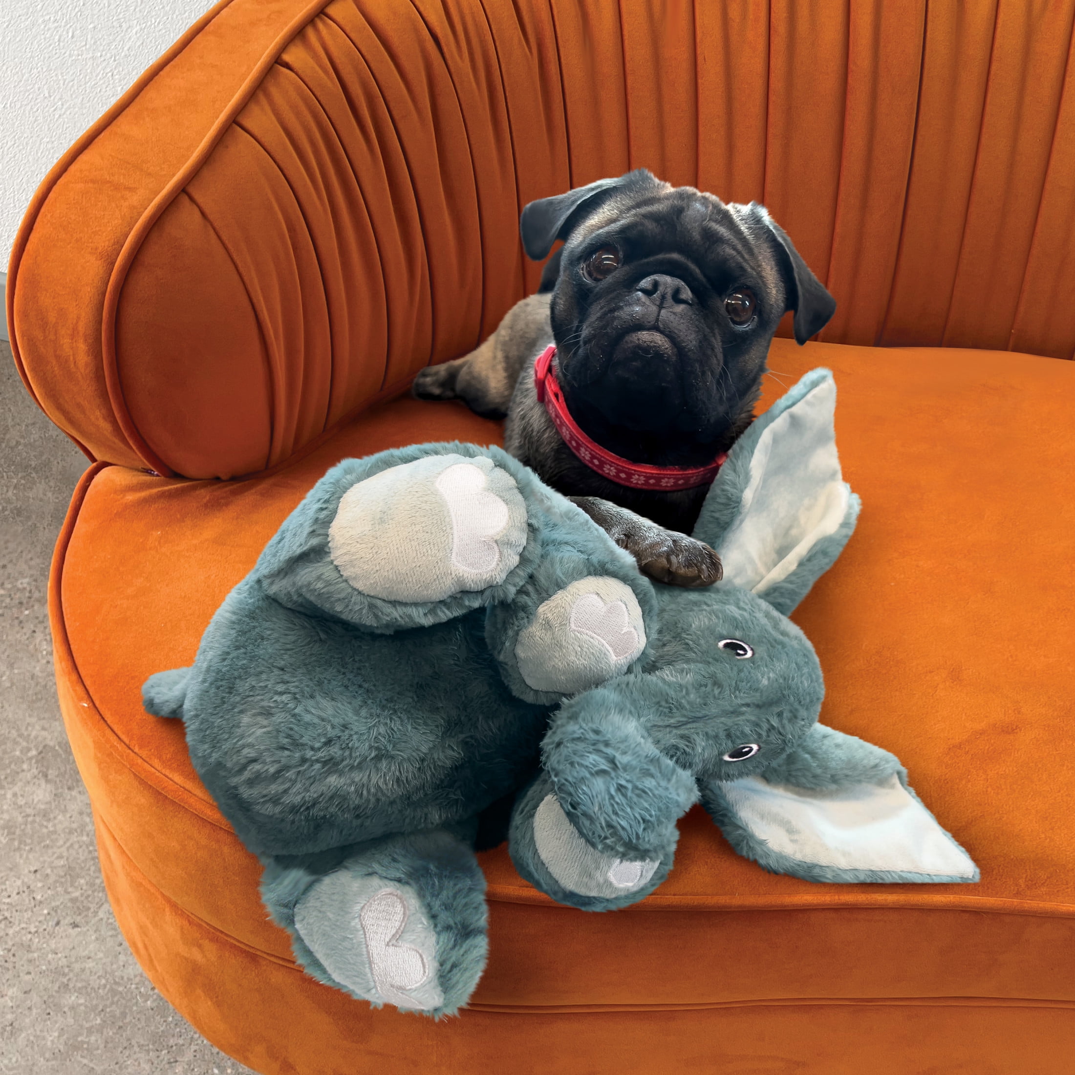 KONG® Comfort Kiddos Dog Toy, Removable Squeaker, Elephant, Jumbo Extra Large