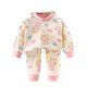 thumbnail image 2 of Cowsor 2PC Set for Children Boy Girl Match Kawaii Thermal 2 Piece Tops Tshirts Lingeries Pants Loungewear 2PC Sets Child, 2 of 3