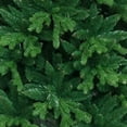 thumbnail image 3 of ALEKO Ultra Lush Traditional Lifelike Artificial Indoor Christmas Holiday Tree - 5 Foot, 3 of 4