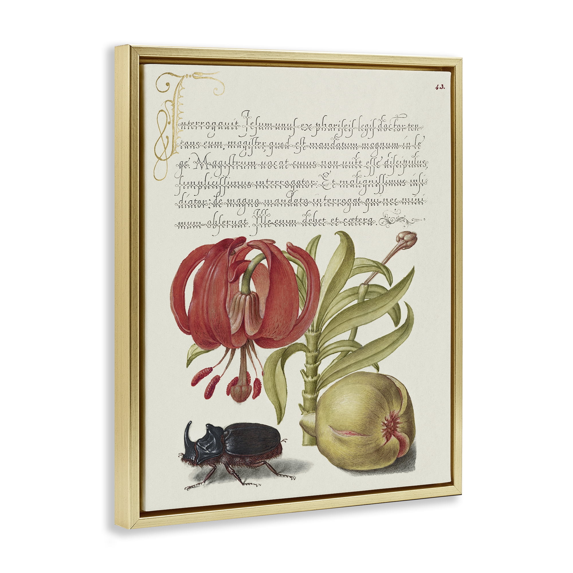 Stupell Industries Vintage Flora & Fauna Text & Numbers Painting Gold Floater Framed Canvas Art Print Wall Art, 25 x 31