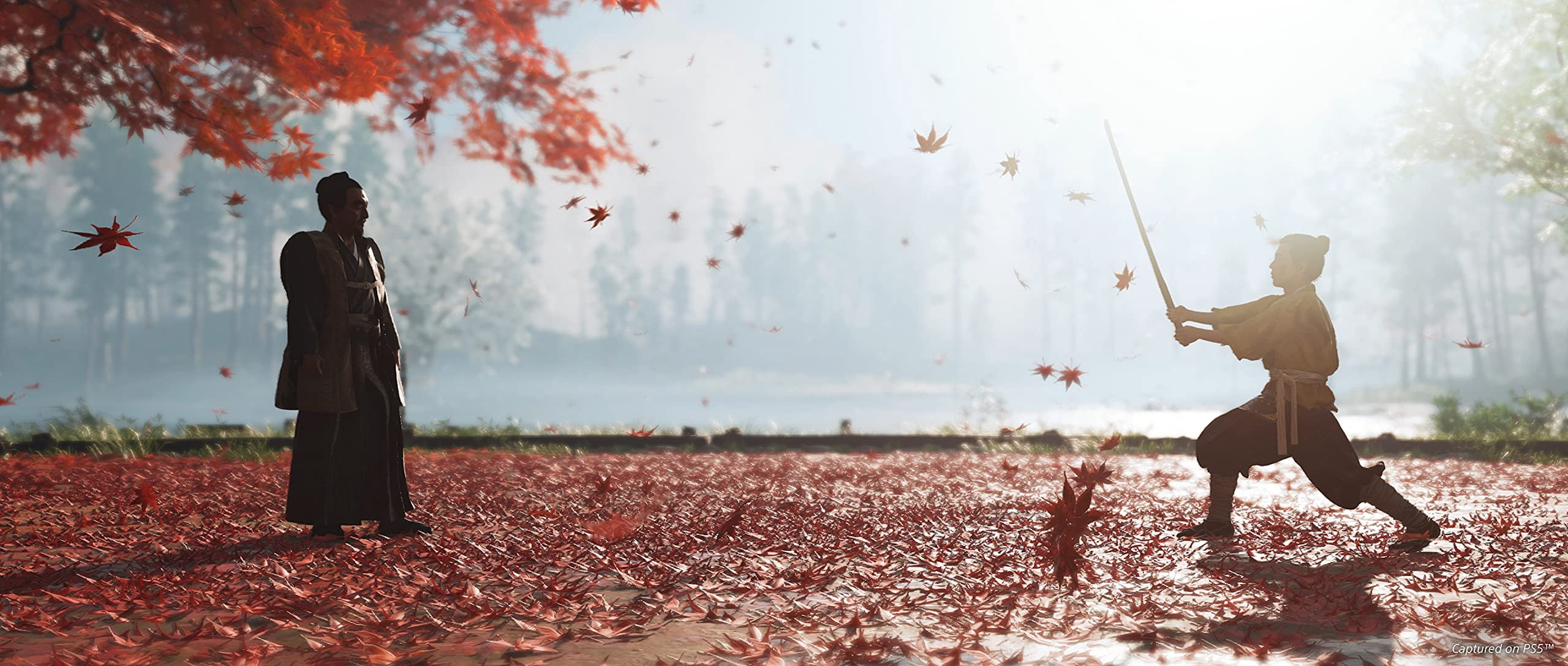Ghost of Tsushima: Director's Cut, Sony, PlayStation 4, 711719548829