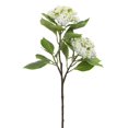 thumbnail image 1 of Melrose International 78534DS 32 Po Branche d'Hortensia en Polyester - Lot de 6, 1 of 1