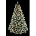 thumbnail image 2 of 6ft Super Dual Frosted Pine Christmas Tree prelit with Color Changing LED Lights, 2 of 5