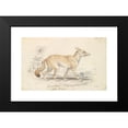 thumbnail image 2 of Charles Hamilton Smith 24x17 Black Modern Framed Museum Art Print Titled - Pale Dog Fox (1837), 2 of 5