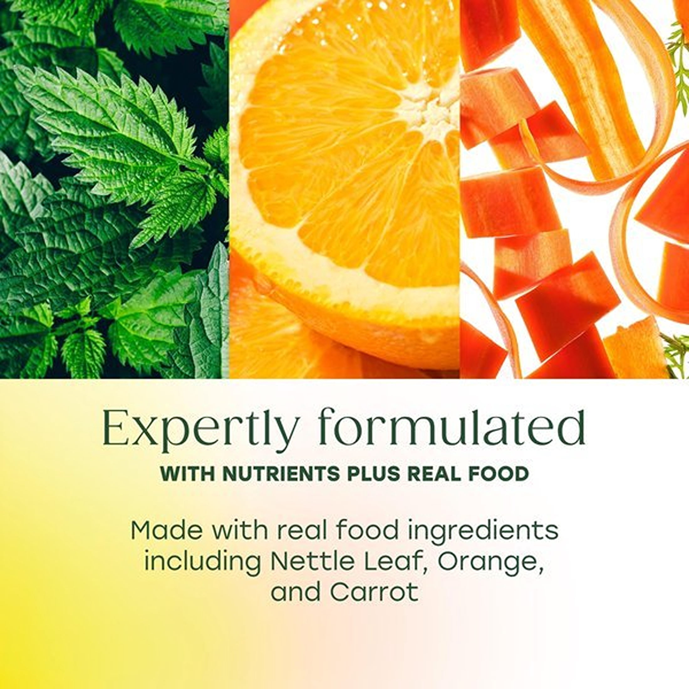MegaFood Skin, Nails & Hair 2 - Biotin, Zinc & Vitamins A, C, B6 & E - Vegan - 30 Servings