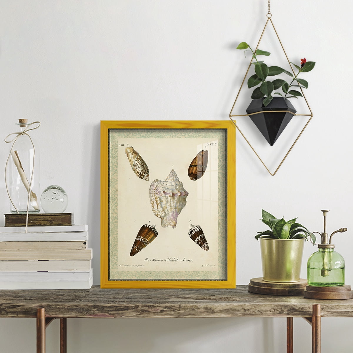 Bookplate Shells IV - Framed Print w/glass - Sunflower Yellow