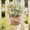 B style, variant on Easter Artificial Flower Wreath, Faux Simulation Flower Hanging Basket for Door, Lifelike Easter Egg Wreath for Porch Wall, Farmhouse Spring Decoration for Home