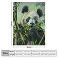 thumbnail image 4 of PRATYUS Throw Blankets for Sofa Couch Fluffy Cozy Flannel Travel Outdoor Blanket, Summer Desk Blanket for Work Chair, Lap Blanket &amp; Pet Blanket, Home Decor- Cartoon Panda 40x50in, 4 of 6