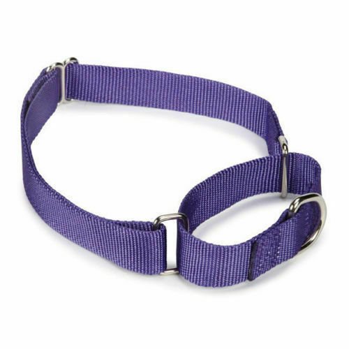 Martingale Dog Collars Adjustable Nylon Choke No Pull Training Pick