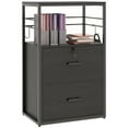 thumbnail image 1 of Vinsetto 2 Drawer File Cabinet, Lockable Adjustable Hanging Bar, Black, 1 of 10