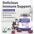 thumbnail image 5 of Healths Harmony Sambucus Elderberry Immune Support Supplement for Adults, 60 Gummies, 5 of 9
