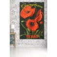 thumbnail image 3 of Georgetown, Texas, Corn Poppy Flowers (36x54 Giclee Gallery Art Print, Vivid Textured Wall Decor), 3 of 3