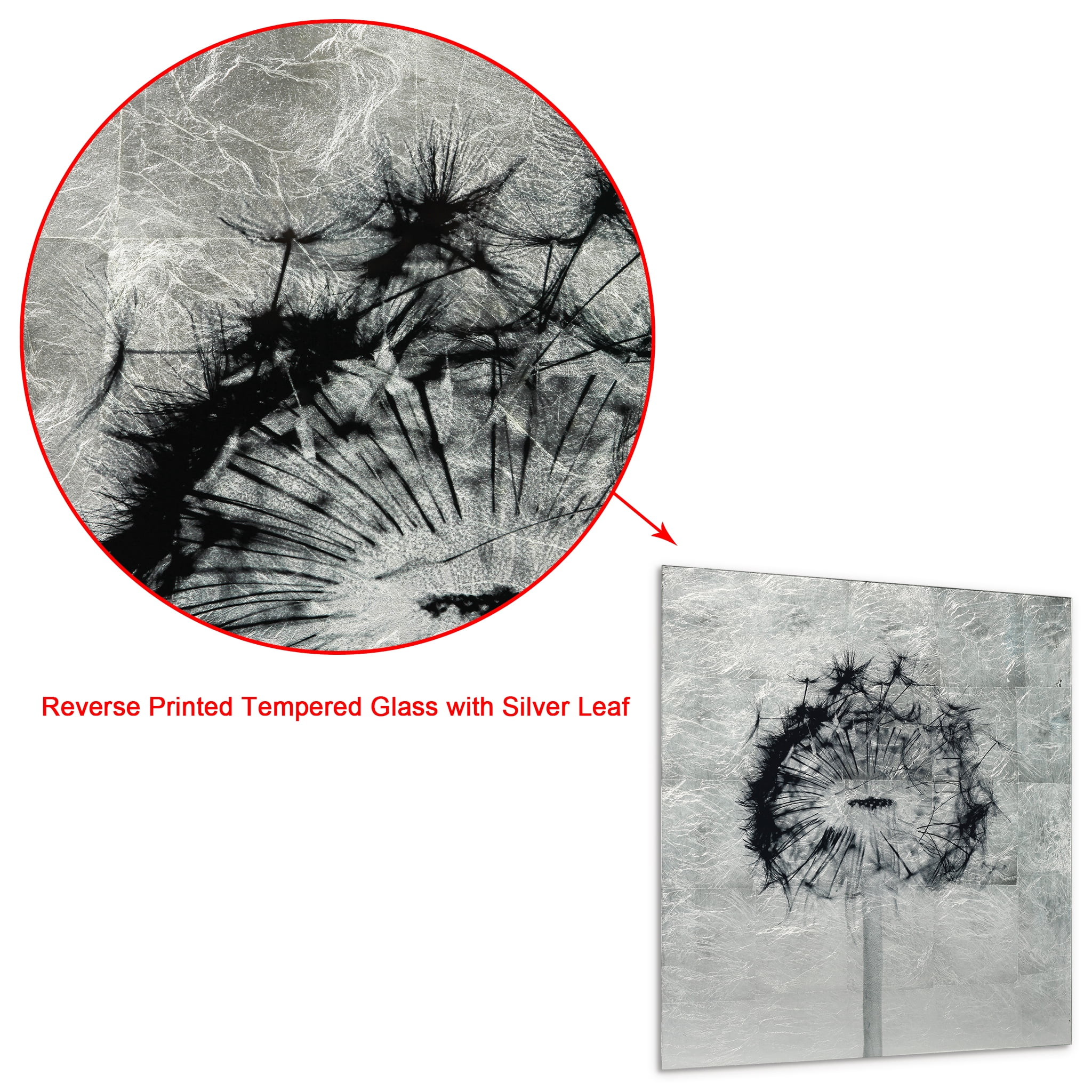 Direct Dandelion Reverse Printed Tempered Glass with Silver Leaf 24.00" x 24.00" Painting Art Prints, by Empire Art