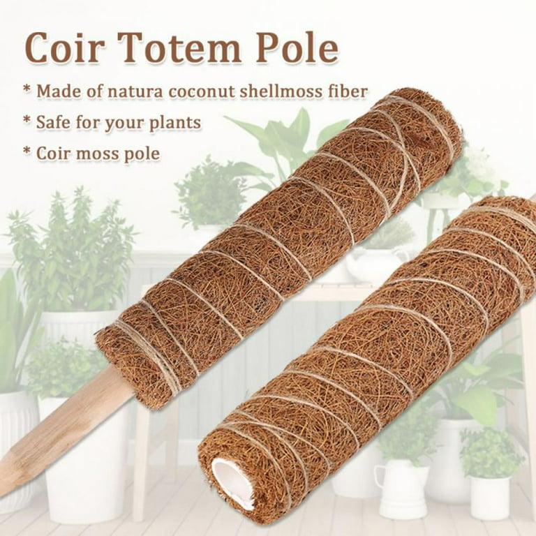 Dropship 4Pcs Coco Coir Extendable Moss Pole For Climbing Plants Plant  Support to Sell Online at a Lower Price