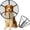 L, variant on Comfortable Transparency Dog Cone For Surgical Recovery AntiLick Neck Collar Adjustable NeckGuard for Wound Healings