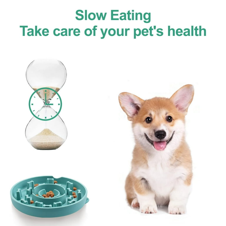 Slow Down Mealtimes: The Health Benefits of a Slow Feeder Dog Bowl