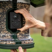 Feathersnap Scout WiFi Solar-Powered Smart Bird Feeder