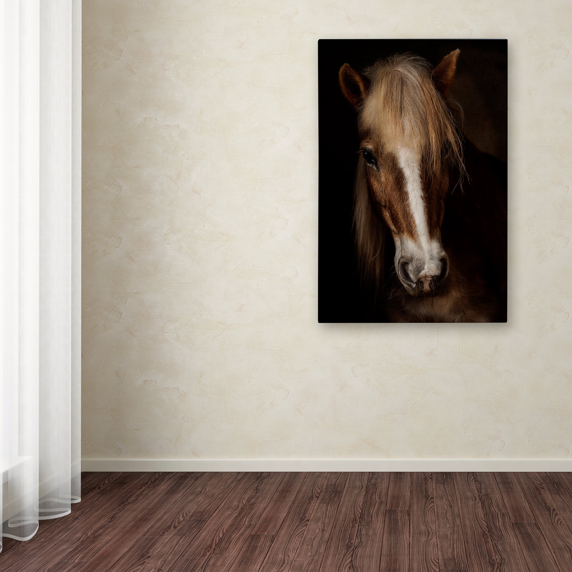 Martine Benezech 'Sapience' Canvas Art