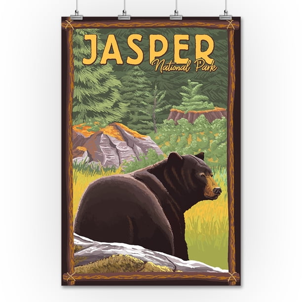 Jasper National Park, Canada Black Bear in Forest