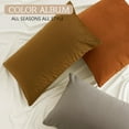thumbnail image 6 of Soft Velvet Throw Pillow Covers 18x18 inches Burnt Orange, Solid Square Cushion Cases with Hidden Zipper Holiday Decorative for Bedroom Bed/Sofa/Bench/Car/Living Room, Pack of 2, 6 of 6