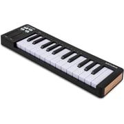 Arturia Microlab Mk3 25-Key USB MIDI Controller - Black