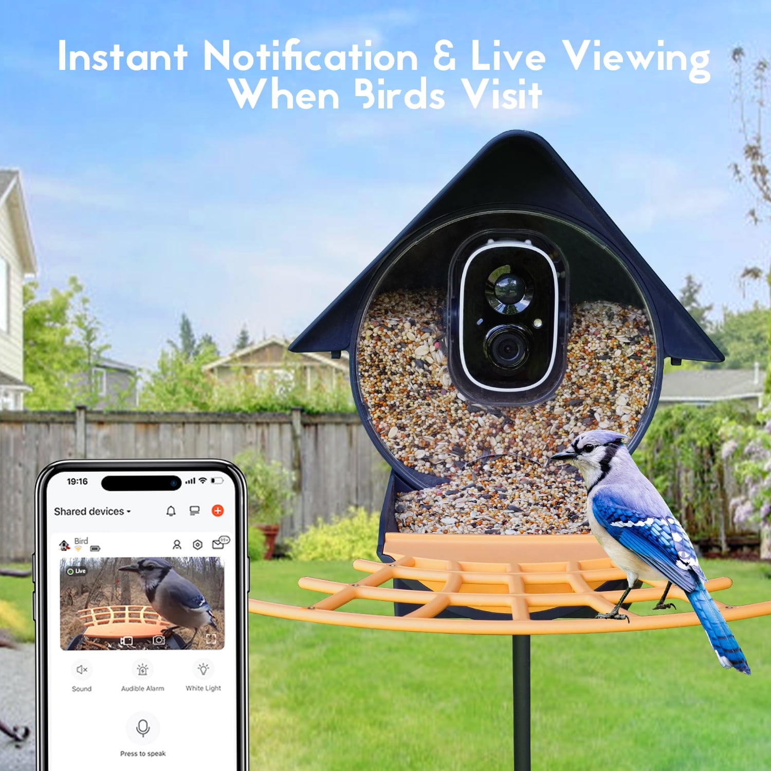 Birdkiss Smart Bird Feeder with Camera, 1080P HD Bird Watching Camera with AI Identify 10000+ Species, Seed Guard, Auto Capture & Instant Notification, Ideal Gift for Bird Lovers