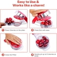 thumbnail image 5 of Cherry Pitter Tool Stainless Steel Cherry Pit Tool, Multiple Cherry Corer Stoner, 5 of 5