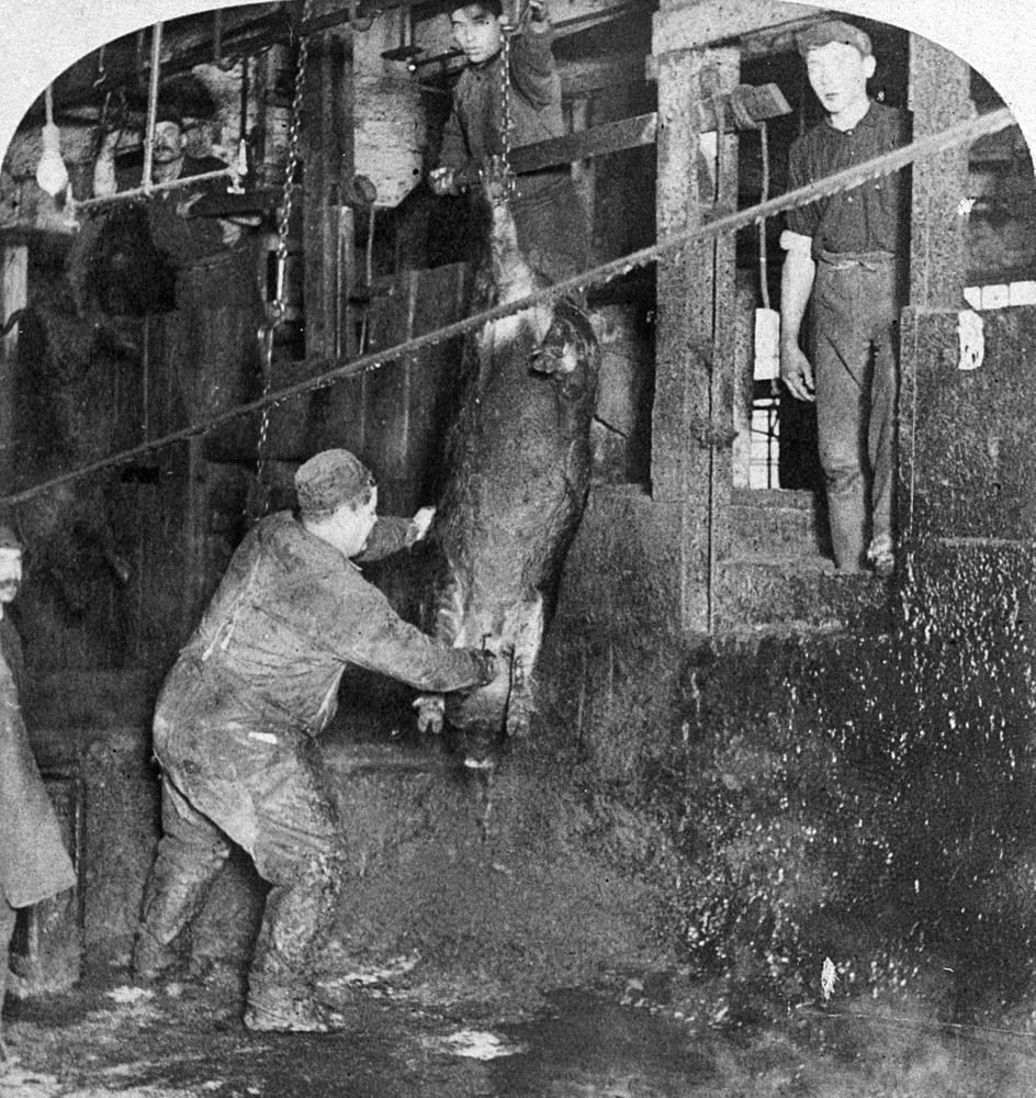 book about the meat packing industry