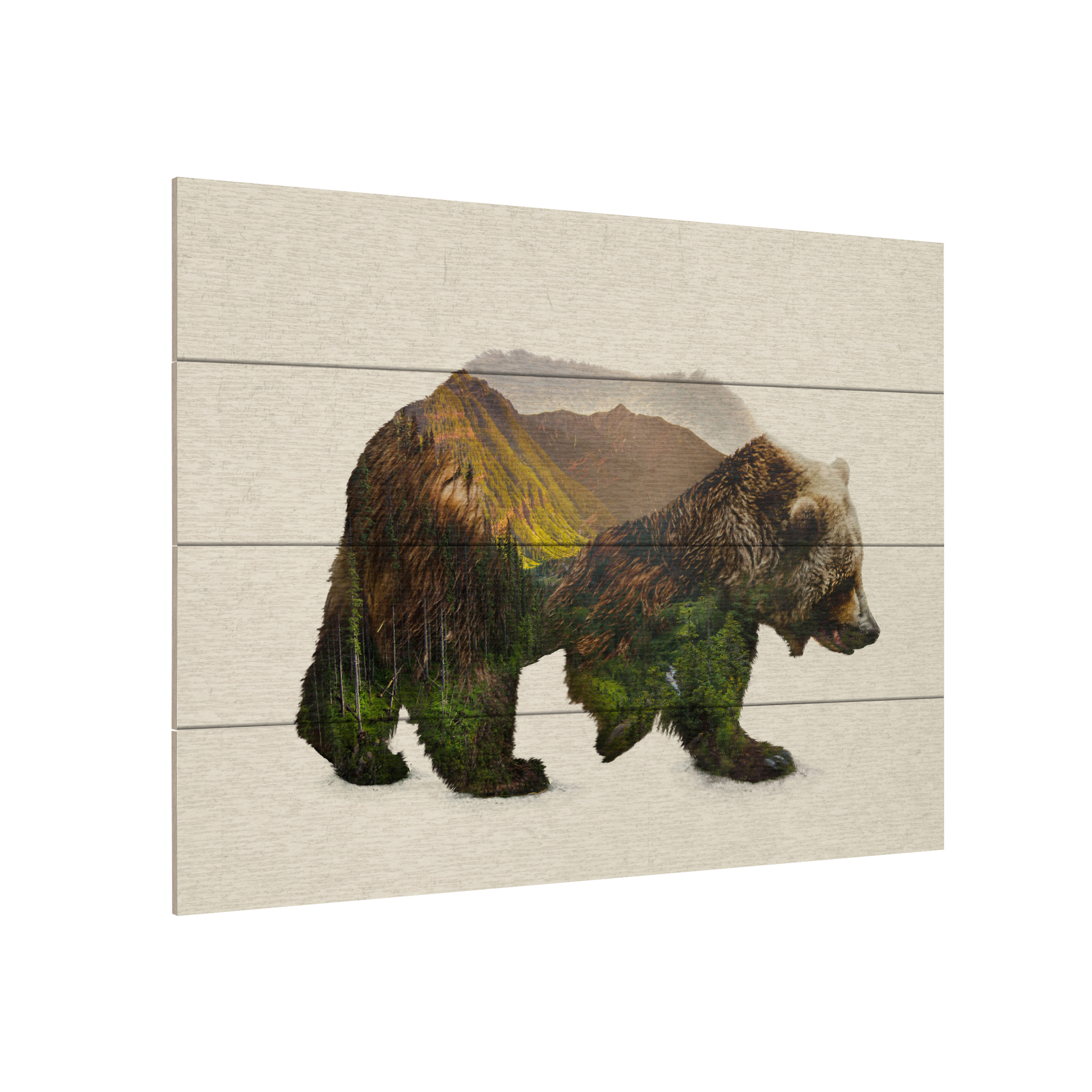 Davies Babies 'North American Brown Bear' Wood Slat Art 12x16