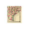 thumbnail image 4 of Historic State Map - Texas Indian Territory - Warner Beers 1876 - 23 x 26.70 - Vintage Wall Art, 4 of 5