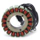 thumbnail image 1 of 4 stroke outboard Ignition Stator Coil For Yamaha F40 F50 F60 F70 FT50 FT60 6C5-81410-00 6C5-81410-01, 1 of 5