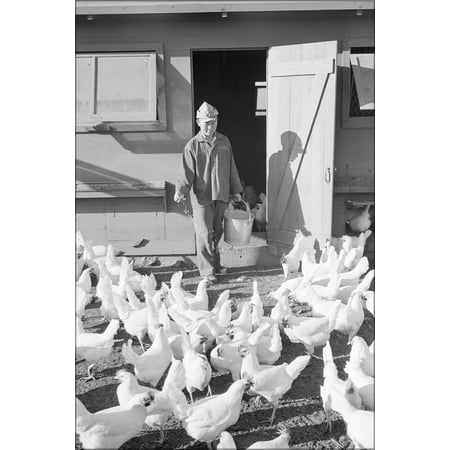 24"x36" Gallery Poster, Manzanar chicken farm, Mori Nakashima 1943