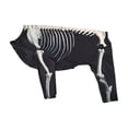 thumbnail image 2 of Dog Halloween Costumes Skeleton for Dogs，Large Halloween Festival Skeletons Outfit, Halloween Dog Clothes, Party Costumes, Halloween Costumes for Dogs，L, 2 of 5