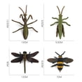 thumbnail image 3 of Simulación Modelo de Educativo Exhibición Educativa Suministros 4 Piezas Juguete de de ños de perfke Insecto simulado, 3 of 8