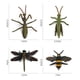 thumbnail image 2 of 4 Uds. Figuras Modelo De Insectos Animales Suministros Educativos Suministros Para Preescolar, 2 of 8