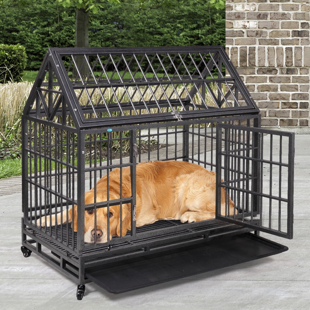 pet city dog kennels