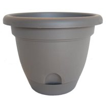 Bloem LP0860 8" Pepper Lucca Planter