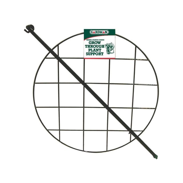 World Source Partners - Grandir Grâce à des Cerceaux de Soutien- Vert 16 Pouces - R754